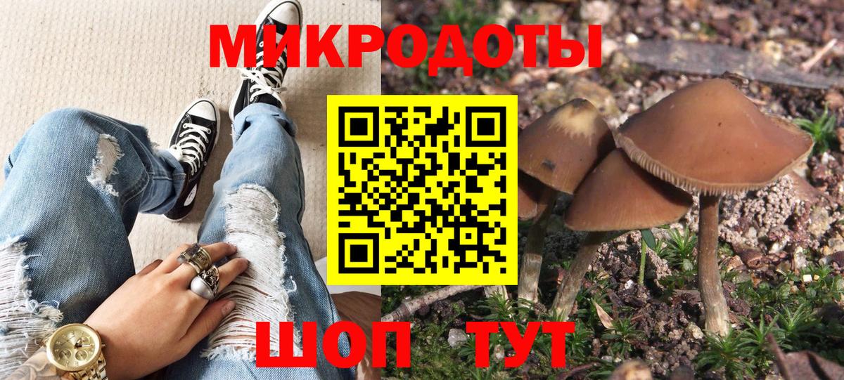 где купить наркоту  Галлюциногенные грибы Psilocybe  Псилоцибиновые грибы мицелий  Вход с VPN  Владимир 